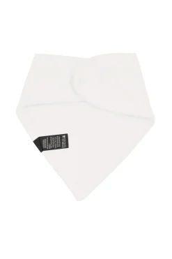 Bib in Cloud