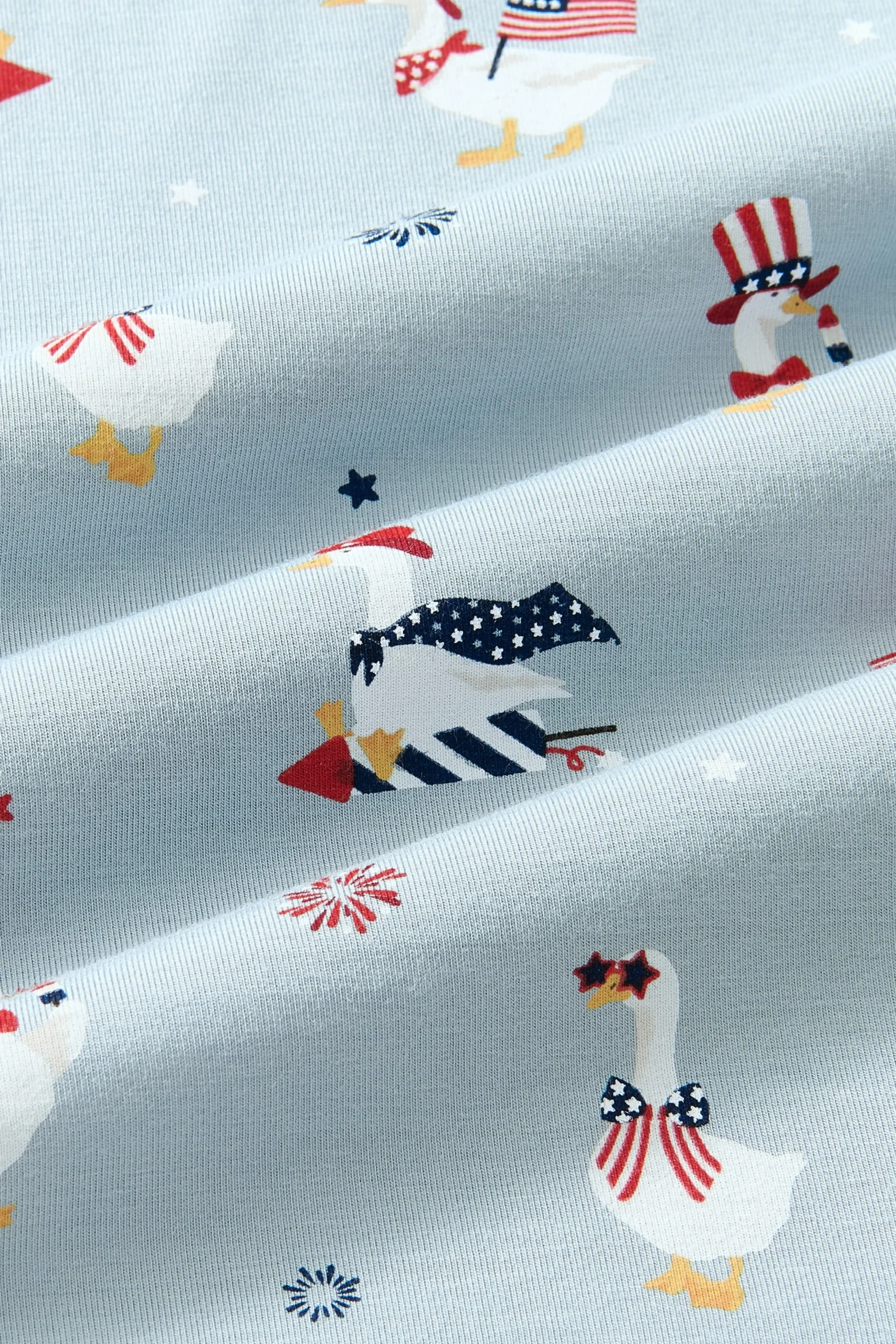 Bodysuit in Patriotic Goose