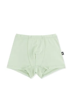 Briefs in Basil