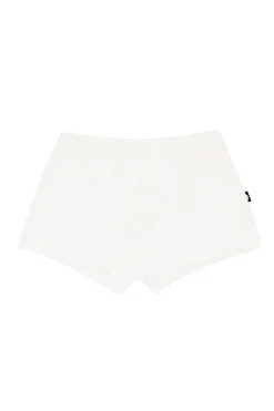 Briefs in Cloud
