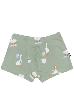 Briefs in Silly Goose