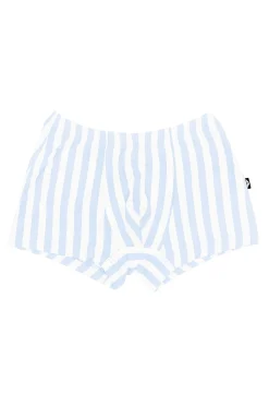 Briefs in Small Mist Stripe