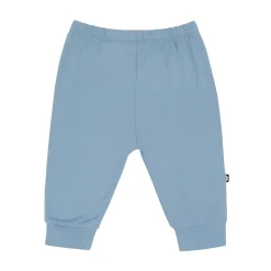 Pant in Slate
