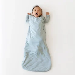 Sleep Bag in Fog 1.0