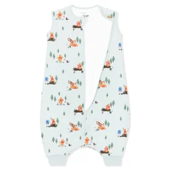 Sleep Bag Walker in Winnie the Pooh Hundred Acre Wood 1.0