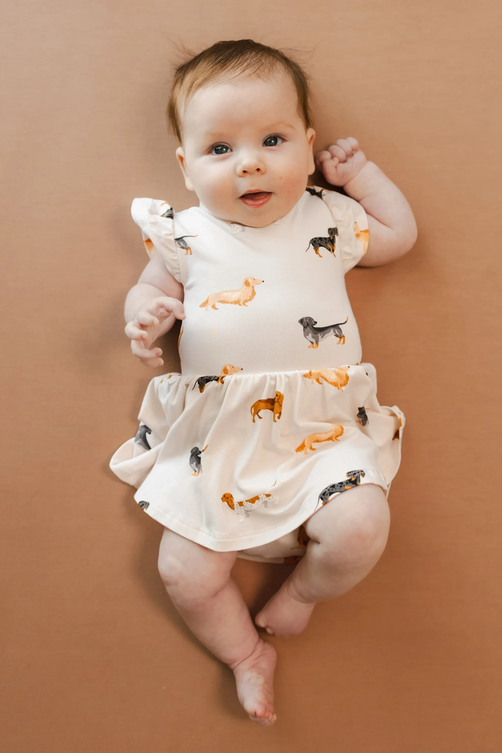 Twirl Bodysuit Dress in Dachshund