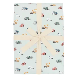 Youth Blanket in City Vehicles 2.5