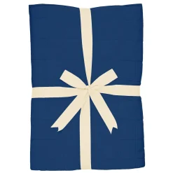 Youth Blanket in Tahoe 2.5