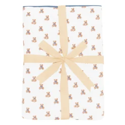 Youth Blanket in Teddy Bear 1.0